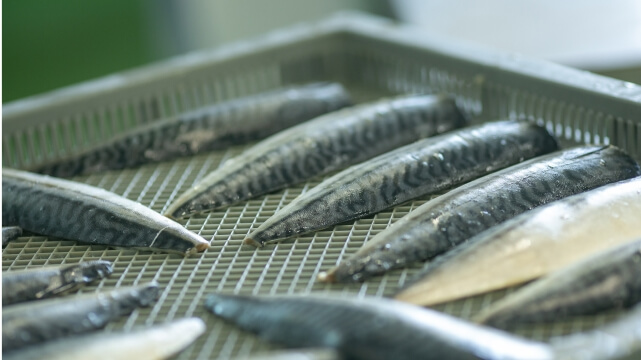 飯田商店の骨取り魚