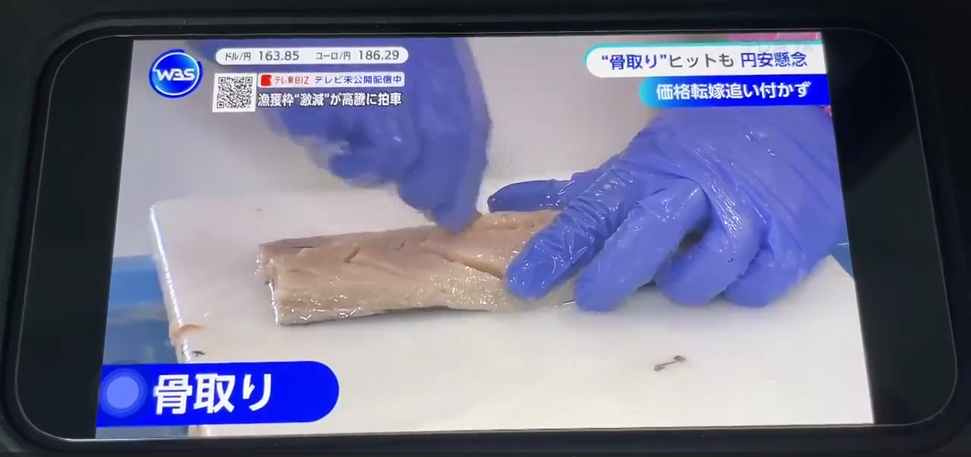 骨取り魚WBS